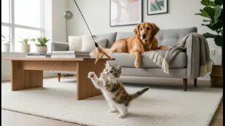 How Apartment Pet Owners Create Harmonious Spaces Merging Adult Dogs With Small Rescue Kittens