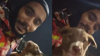 Zomato Delivery Agent Rescues Stray Puppy From Being Hit By Cars, Later Adopts It; 'Namaste Bolo Sabko' | VIDEO
