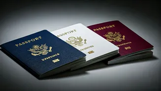 Blue, White, Maroon: India's Passport Colours Explained