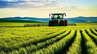 Rural demand slowdown hits brands