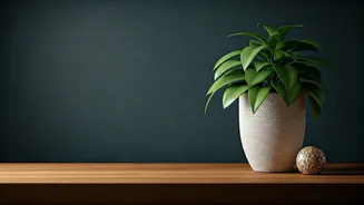 Vastu Wisdom: Harmonize Your Home for a Prosperous Week (May 11-17, 2026)