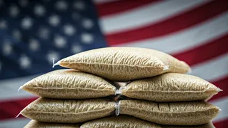 US Rice Tariffs Loom: India's Rice Sector Under Pressure