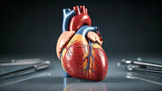Heart Surgeon's Secrets: Daily Habits for Wellness