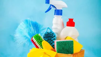Add Cleaning Rules To Every Plan For Borrowing Or Renting Home Items