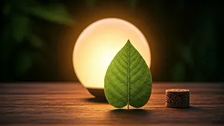 From Diagnosis to Deep Well-being: A Diabetes Patient's Holistic Healing Journey