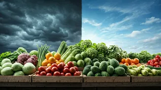 Changing Monsoon Patterns Could Reshape Grocery Shopping