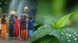 Goa Water Fests And Assam Rituals Embrace Rain Season