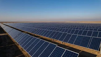 Solar Curtailment Explained: Why India's Clean Energy Sometimes Cannot Be Used