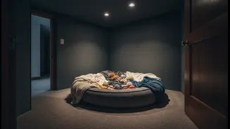 A Pet-Safe Storm Room Should Feel Familiar, Darker And Easy To Access