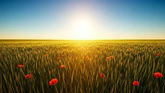 Summer Solstice June 21 Marks Year's Longest Daylight Sequence
