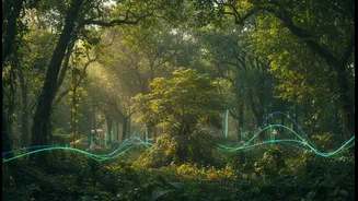 India's Future Vegetation Growth Forecasts Connects Climate Models, Carbon Effects And Plant Growth With How India Interprets Greening Under Climat...