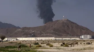 Related Stories banner