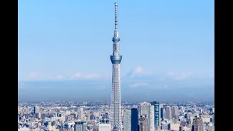 Top 5 Must-Visit Observational Decks In The World