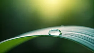 Conjunctivitis Prevention: Key Tips for Monsoon Health