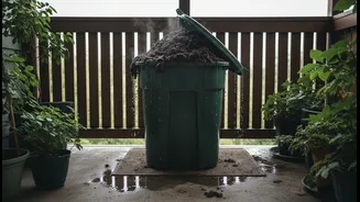 A Covered Balcony Can Still Have Very Humid Compost