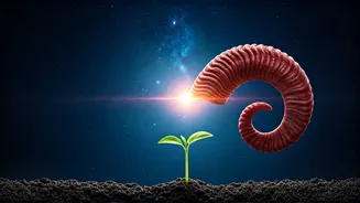 Aries Weekly Forecast: March 22-28, 2026 - Embrace Intuition, Grounded Romance, and Steady Progress