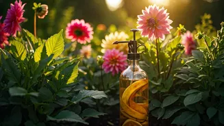 Homemade Banana Peel Liquid Spray Boosts Bright Summer Blossoms