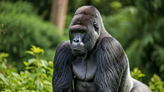 Strong Female Animals: A Look at 10 Species