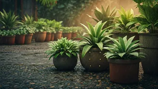 Monsoon Gardening Hacks Every Beginner Needs