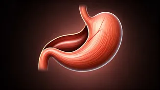 Unveiling the Cappuccino Conundrum: Dining Like an Italian