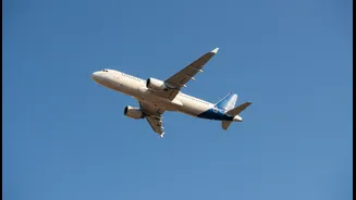 Why Reliable Airlines Are Attracting More Repeat Travellers