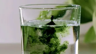 Seven Beauty-From-Within Drinks: Explaining Ingestible Beauty Without the Hype