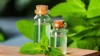 Turn leftover coriander and mint stems into fragrant zero waste cooking oils