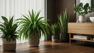 Turn Your Bathroom Into a Spa With These Plants