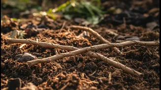 Shredded Cardboard Can Help Balance a Damp Compost Mix