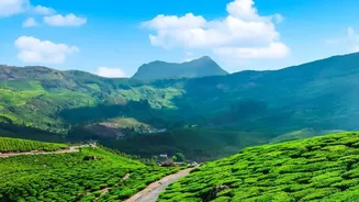 Scenic Getaway Routes Connecting Bengaluru To Chikmagalur Coffee Hills And Green Wayanad Valleys