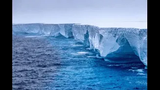 Man Offered Rs 1 Crore To Work In Antarctica For 6 Months, He Wonders: ‘Is It Worth Risking My Love Life?’