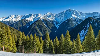 7 Winter Wonderlands in India: A Postcard-Perfect Guide