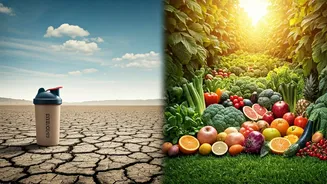Protein-Only Diets Take A Back Seat