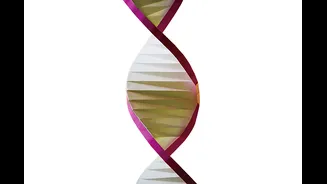 Seu DNA conta tudo? O que os testes genéticos realmente revelam