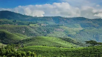 Offbeat Monsoon Road Trips In Chikmagalur: Scenic Plantation Stays And Driving Routes