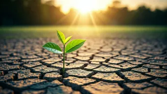 5 Powerful Ways to Accelerate Your Breakup Healing Journey