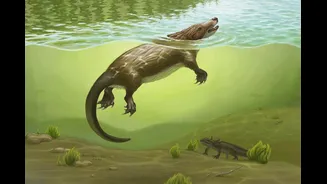 Quando os animais começaram a mamar? Espécie jurássica pode ajudar a responder