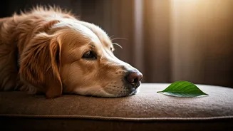 Why Mindful Pet Parenting Is Ultimate Expression Of Modern Empathy