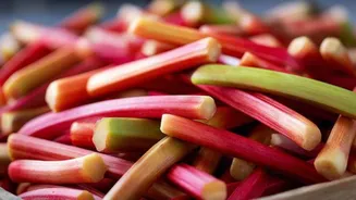 5 healthy breakfast recipes using rhubarb