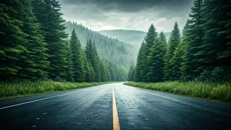 Cheaper Fares Make Monsoon Trips Hard To Ignore