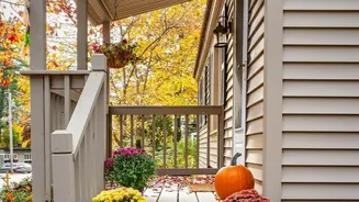 October Home Garden Guide Plant Festive Marigolds Blooming Chrysanthemums And Fresh Winter Spinach