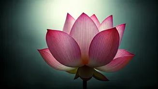 Your Skin Still Faces UV In Monsoon