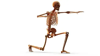 Boost Bone Health: 5 Exercises for Stronger Bones