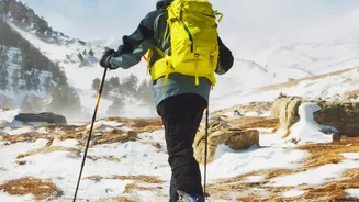 Nordic Walking's Fitness Revival Puts Gradual Pace In Focus