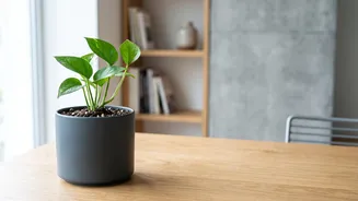 How Your 20s Can Become Your Financial Training Ground
