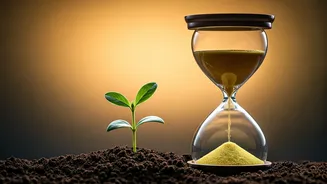 Related Stories banner