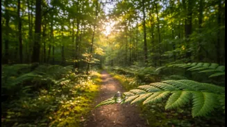 Research Reinforces The Value Of Rest Days