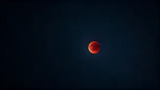 Related Stories banner