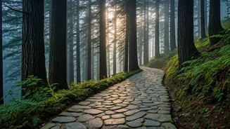 Landour Is For Travellers Avoiding Hill Crowds