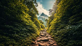 Wayanad Is Becoming The Ultimate Spot For Off-Grid Trekking Adventures
